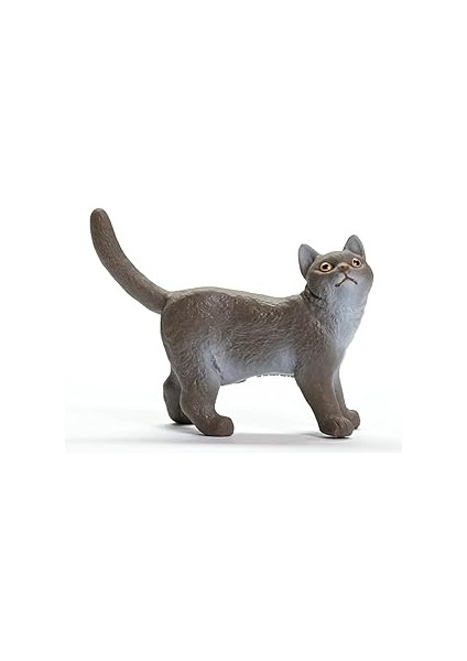British Shorthair Kedi, Oyuncak Figür fırsatları