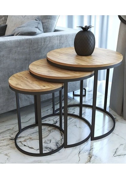 C Zigon Sehpa Atlantik Çam Metal Siyah Elektrostatik Boya Suntalem modelleri