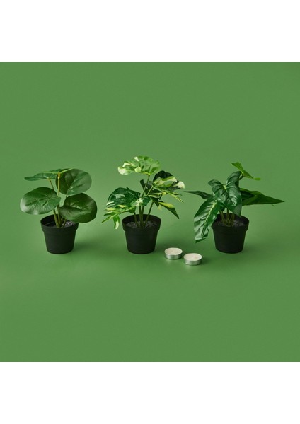 Botta Çiçek - Asorti - 24 cm fiyatları