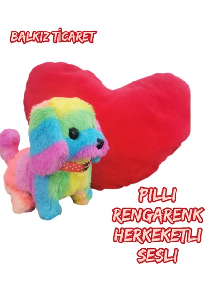 Renkli Pilli Oyuncak Köpek