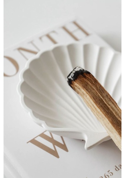 Deniz Kabuğu Mini Aksesuar Tabağı Dekoratif Beton modelleri