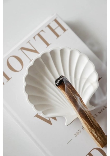 Deniz Kabuğu Mini Aksesuar Tabağı Dekoratif Beton fırsatları