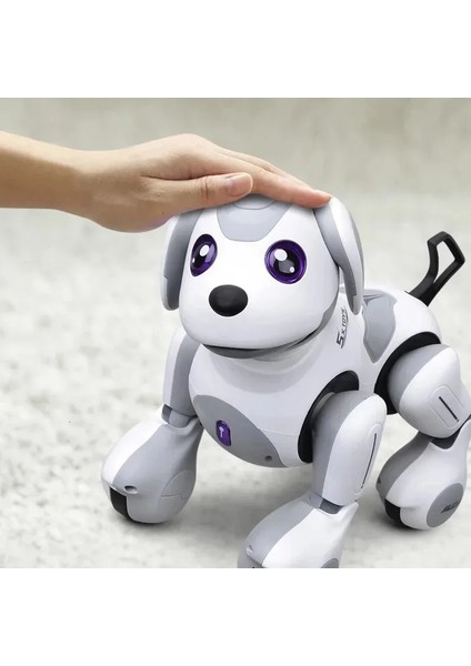 Uzaktan Kumandalı Şarjlı Akıllı Programlanabilir Hareket Sensörlü Robot Köpek modelleri