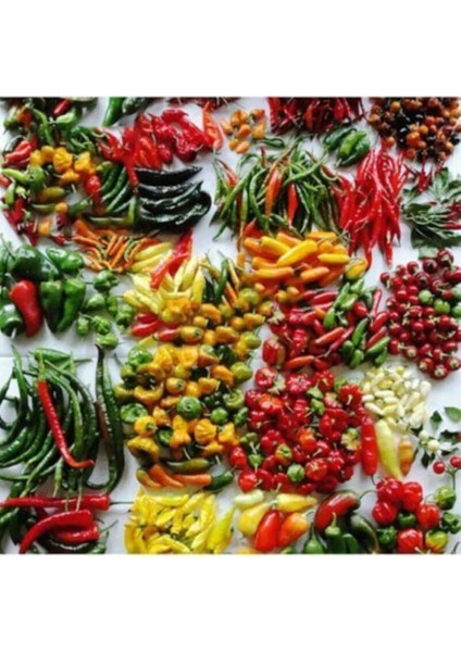 Look 100 Adet 50 Çeşit Acı Biber Tohumu TH-159888369838