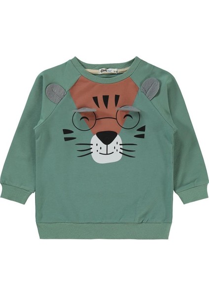 Gözlüklü Kaplan Nakışlı 2-5 Yaş Eşofman Takımı modelleri