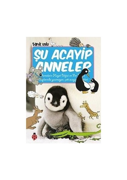 Şu Acayip Anneler