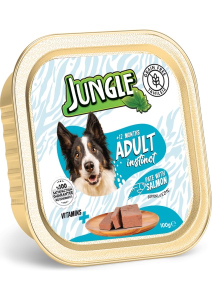 Püre Yetişkin Köpek Somonlu 100 G