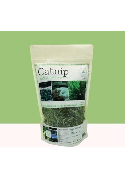 Catnip (Kedi Nanesi) Nepeta x Cataria 50 gr | Bahçeden | Haven Herbs & Blends | fiyatları