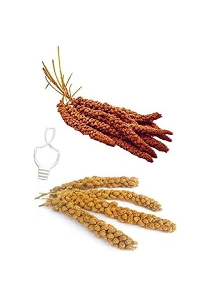 150GR Ak Dal Darı & 150GR Kızıl Dal Darı + Tutacak