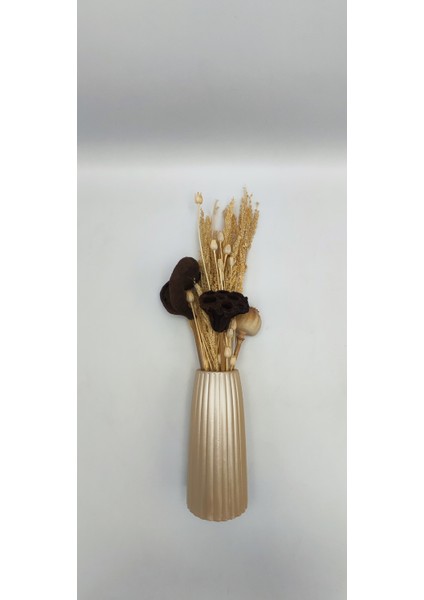 | Petra Vazo | Antik