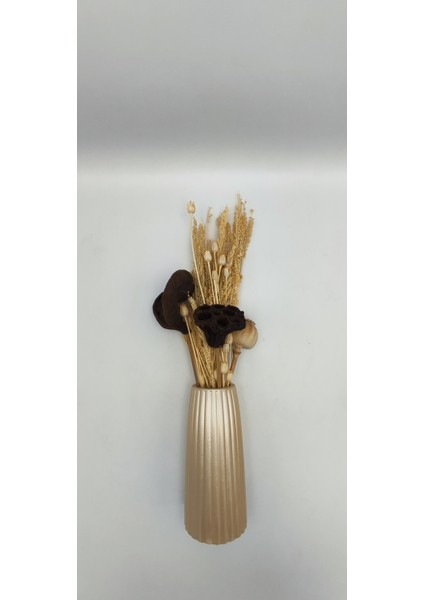 | Petra Vazo | Antik fiyatları