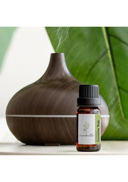 Shamballa Lavanta YAĞI%100 Saf Uçucu Yağ fiyatları