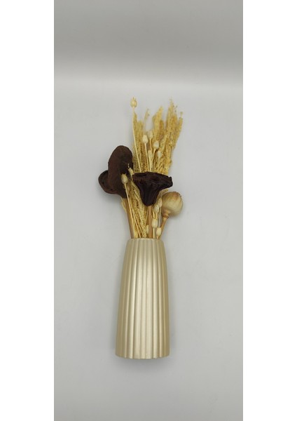 | Petra Vazo | Antik fırsatları