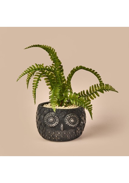 Saksılı Yapay Çiçek - Siyah / Yeşil - 29 cm