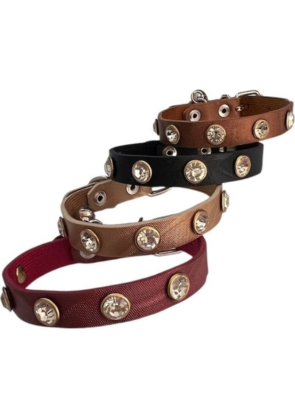 Şık ve Güvenli 27 cm Kedi Tasması – Zilli & Taşlı Tasarım fırsatları