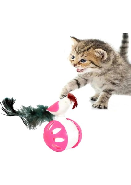 Renkli Tüy Topuyla Kedinizin Enerjisi Zirvede fiyatları