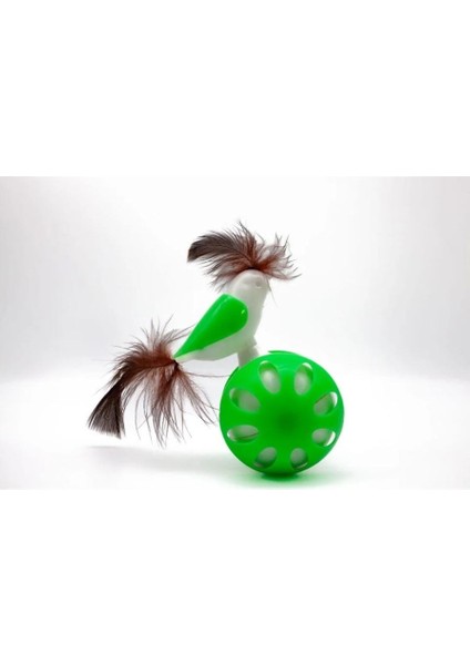 Renkli Tüy Topuyla Kedinizin Enerjisi Zirvede fırsatları