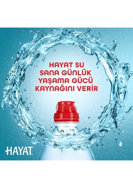Hayat Sporcu Kapak Su 12X750 ml modelleri