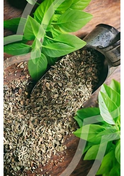 Fesleğen Kurusu 250G – Katkısız, Glutensiz, Doğal Ürün fiyatları