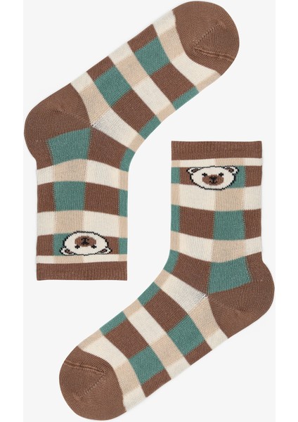Çok Renkli Erkek Çocuk Preppy Bear Ayı Desenli 4'lü Soket Çorap