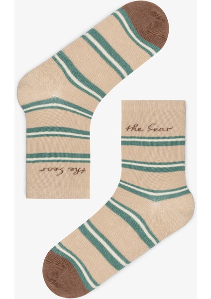 Çok Renkli Erkek Çocuk Preppy Bear Ayı Desenli 4'lü Soket Çorap