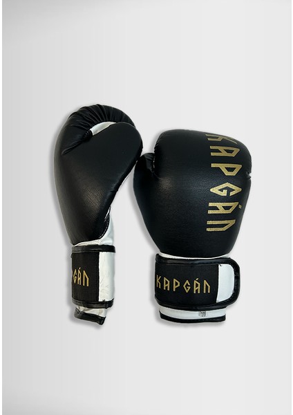 Boks Kickboks Eldiven modelleri