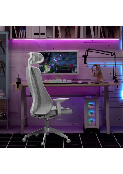 Lånespelare Mikrofon Kolu, Antrasit, Vida Bağlantılı fiyatları