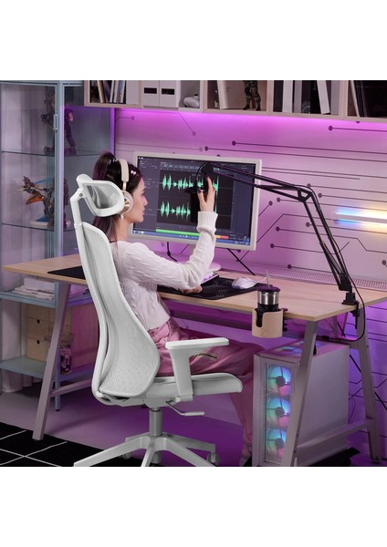 Lånespelare Mikrofon Kolu, Antrasit, Vida Bağlantılı indirimleri