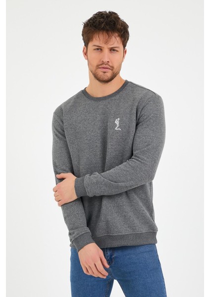 Erkek 3 İplik Pamuklu Regular Fit Nakışlı Bisiklet Yaka Basic Sweatshirt