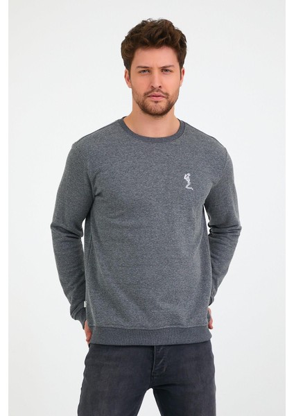 Erkek 3 İplik Pamuklu Regular Fit Nakışlı Bisiklet Yaka Basic Sweatshirt indirimleri