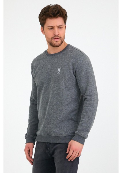 Erkek 3 İplik Pamuklu Regular Fit Nakışlı Bisiklet Yaka Basic Sweatshirt