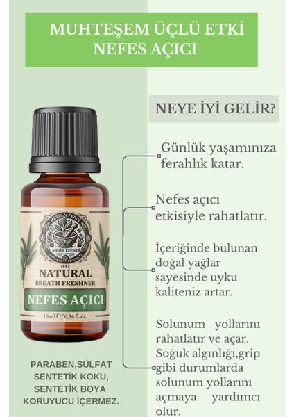 4'lü Set Nefes Açıcı Nane ve Okaliptüs Esansiyel Uçucu Yağı Buhurdanlık Yağı Difüzör Esansı 4X10ML fırsatları
