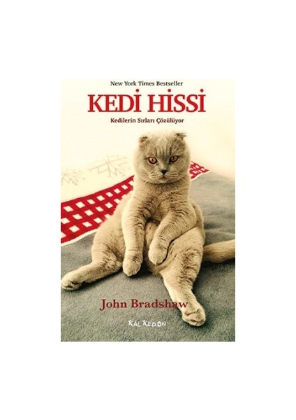 Kedi Hissi - Kedilerin Sırları Çözülüyor