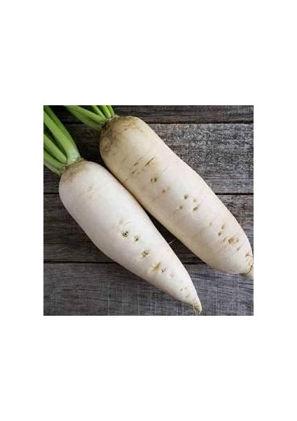 Çiçeği Doğal Ürünler Beyaz Iri Turp Tohumu