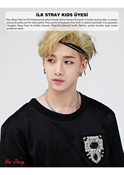 Stray Kids Dergisi Özel Albüm 007 Bertan Kodamanoğlu 16 Sayfa Ciltsiz 2024 Yayınlı