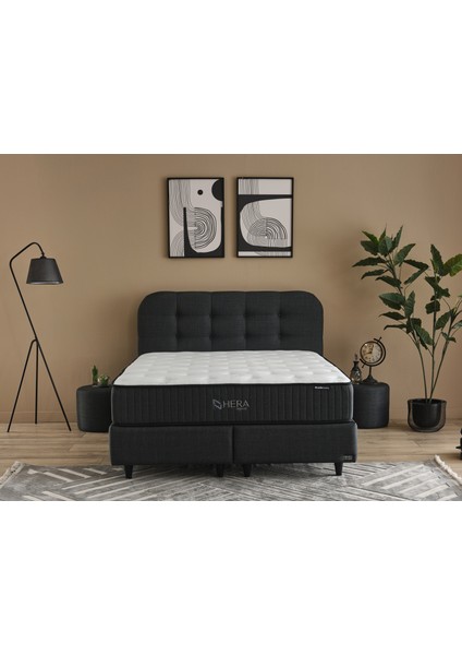 Hera Yatak | Smart Temp Kumaş – Pocket Yay Sistemi – Orta Sert – Roll Pack fiyatları