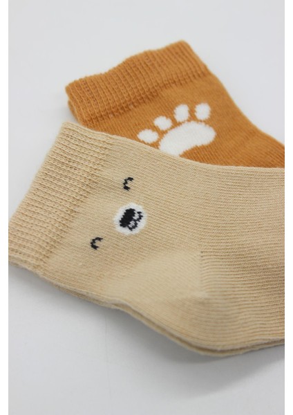 2li Bear Penye Soket Çorap 10116 Bej fırsatları