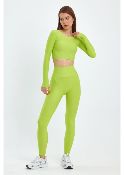 Alt Üst Takım Seamless Uzun Kollu ve Tayt Ikili Takım