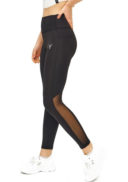 Spor Tayt Tül Detaylı Yüksek Bel Esnek ve Toparlayıcı Kadın Tayt fiyatları