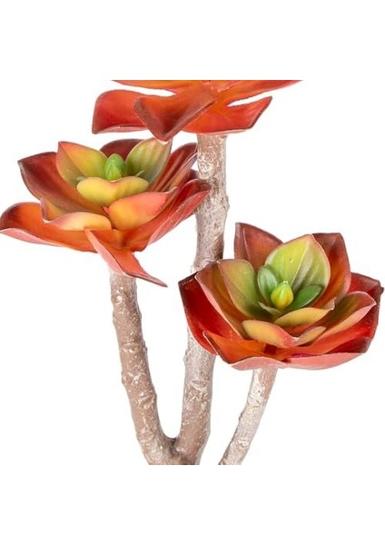 Yapay Kaktüs Sukulent Kırmızı 35 cm modelleri