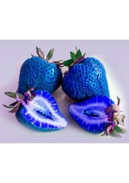 Look 10 15 Adet Mavi Çilek Tohumu TH-2022DSHNGLKTHM158