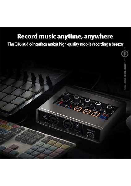 Ses Arayüzü Profesyonel Kayıt Xlr O Arayüz Dsp Reverb 48V Phan Güç Ses Kartı 16BIT/48KHZ Çözünürlük Müzik Kaydı Için Tak ve Çalıştır Çevrimiçi Karaoke Vokal Kaydı modelleri