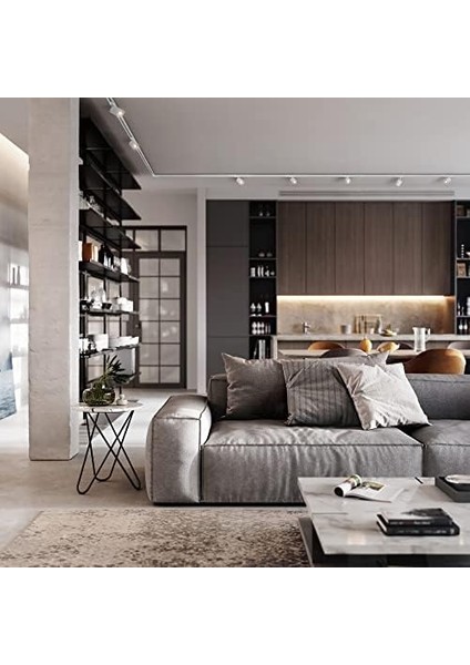 Tracklight Ray Sistemi Mini Lamba Başlığı, Siyah, modelleri