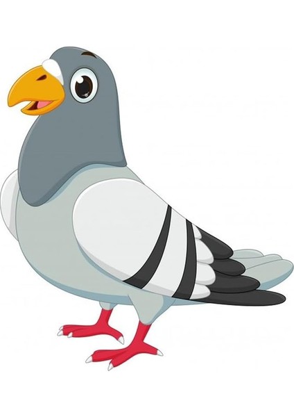 Için Renkli Baskılı Sayılarla Boyama Hobi Seti: Güvercin