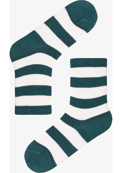 Çok Renkli Erkek Çocuk Relax Stripes 4lü Soket Çorap