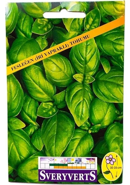 Fesleğen Iri Yapraklı Çiçeği Tohumu