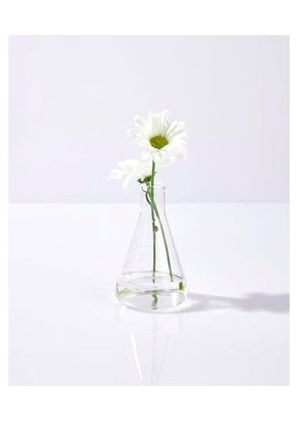 Pelcare Daisy Floral Mist | Lavanta ve Papatya Hidrosolü Içeren Yüz ve Boyun Spreyi (50 ml | 1.7 Oz) modelleri