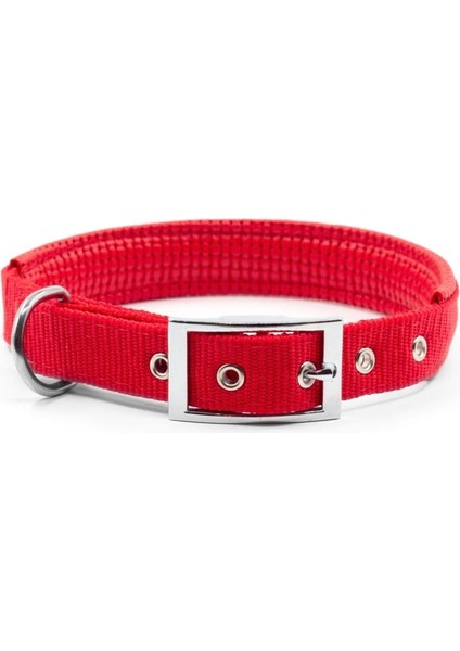 Yumuşak Dokulu Ayarlanabilir Köpek Tasması – 61CM*25MM