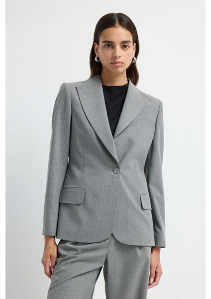 Çizgili Blazer Ceket C.gri 11945697000