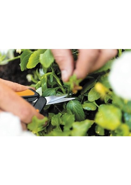 Masif Budama Makası, Turuncu/siyah fiyatları